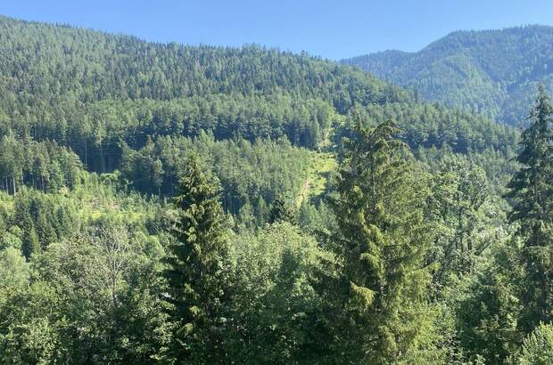 Wohnung kaufen in 2680 Semmering (Bild 3)