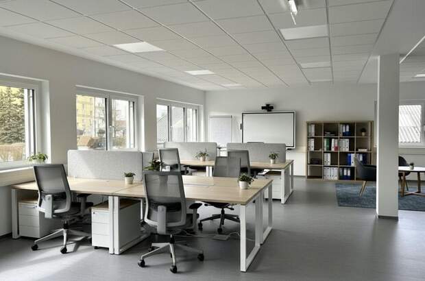 Gewerbeobjekt mieten in 4061 Pasching (Bild 2)