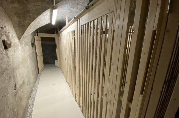 Gewerbeobjekt mieten in 6060 Hall (Bild 4)