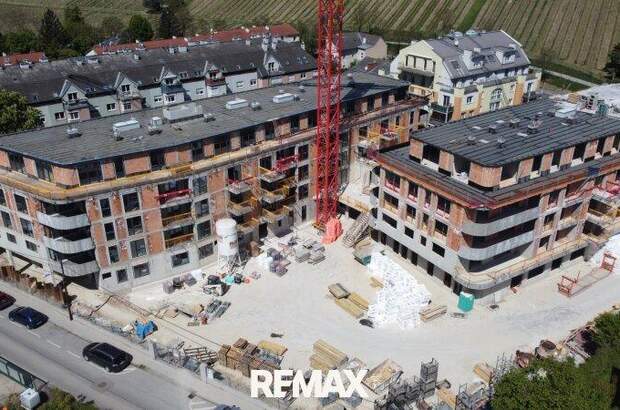 Terrassenwohnung kaufen in 3400 Klosterneuburg (Bild 3)