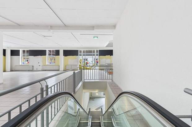 Gewerbeobjekt mieten in 2700 Wiener Neustadt (Bild 4)
