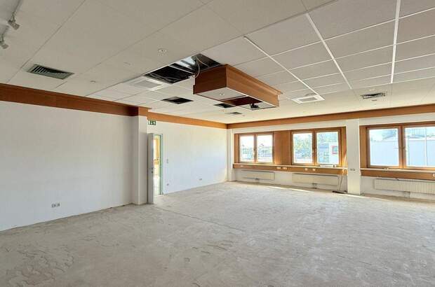 Gewerbeobjekt mieten in 2380 Perchtoldsdorf (Bild 1)