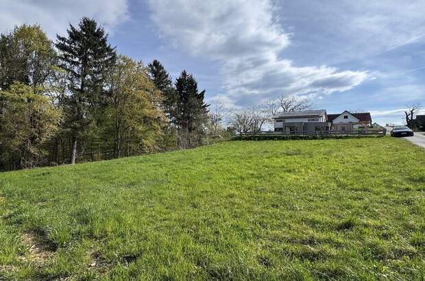 Grundstück kaufen in 8452 Großklein (Bild 4)