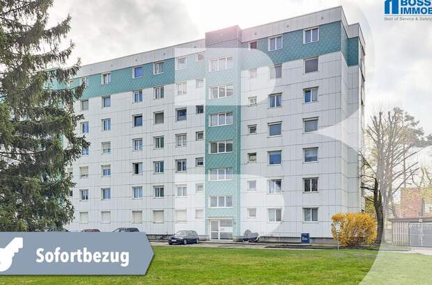 Wohnung mit Balkon mieten in 4600 Wels (Bild 1)