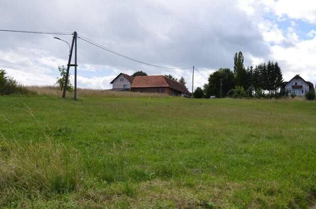 Gewerbeobjekt kaufen in 8511 Teipl (Bild 3)