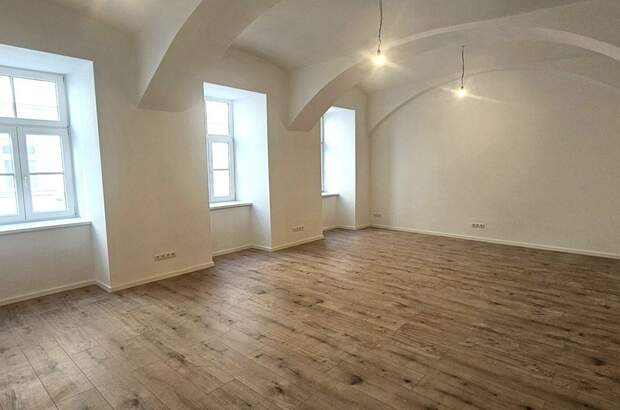Gewerbeobjekt mieten in 1090 Wien (Bild 2)
