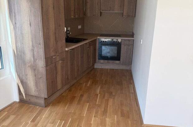 Terrassenwohnung mieten in 1100 Wien (Bild 3)