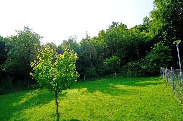 Grundstück kaufen in 3021 Pressbaum (Bild 5)