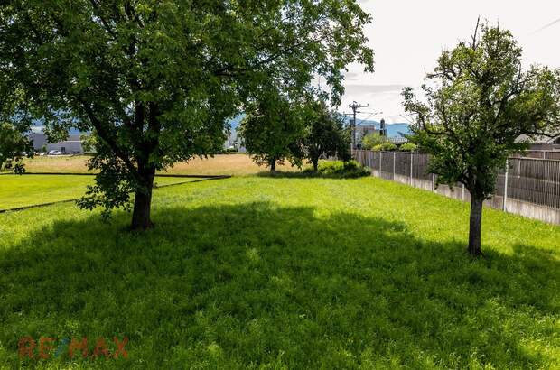 Grundstück kaufen in 6923 Lauterach (Bild 4)
