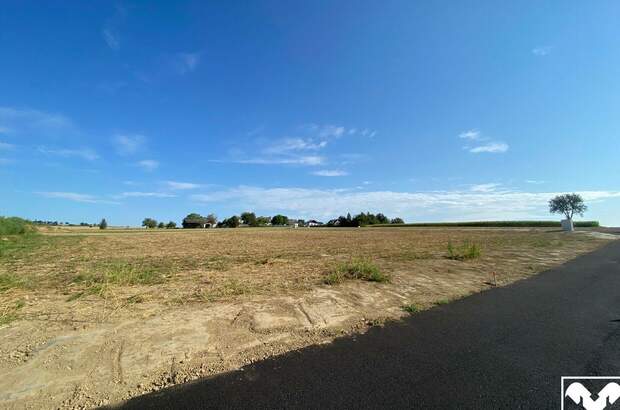 Gewerbeobjekt mieten in 4611 Buchkirchen (Bild 2)