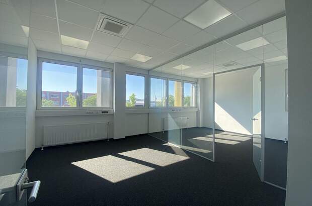 Gewerbeobjekt mieten in 1230 Wien (Bild 4)