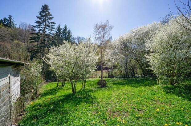 Grundstück kaufen in 3004 Ried (Bild 3)