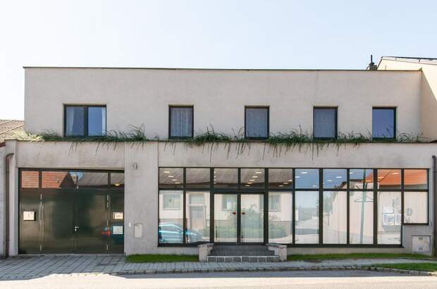 Anlageobjekt kaufen in 2472 Prellenkirchen (Bild 1)