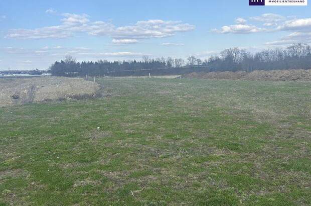 Grundstück kaufen in 8472 Vogau (Bild 3)