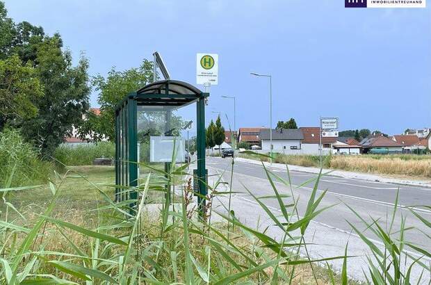 Grundstück kaufen in 2441 Mitterndorf (Bild 3)