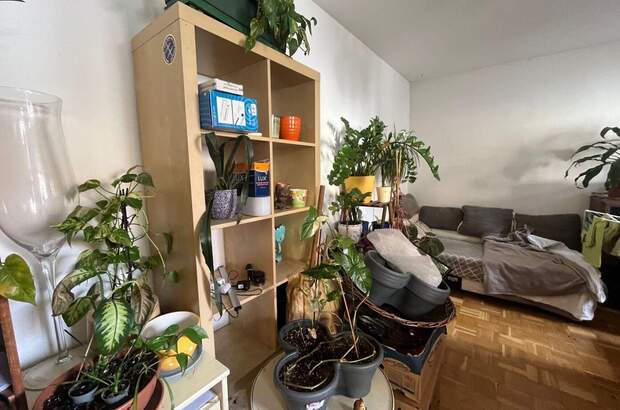 Wohnung mit Balkon mieten in 8010 Graz (Bild 2)