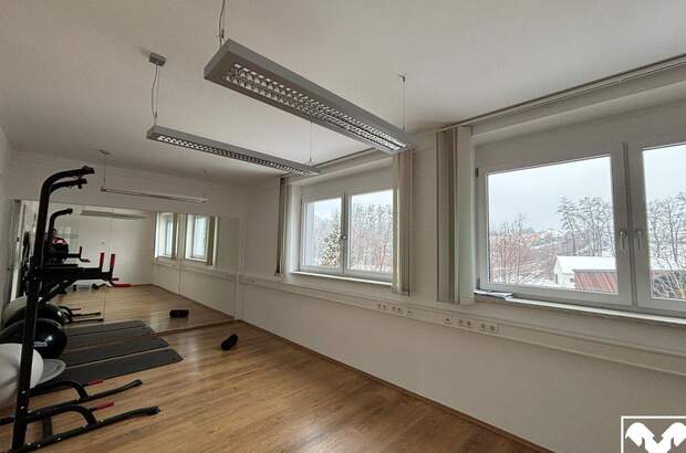 Gewerbeobjekt mieten in 4551 Ried (Bild 5)