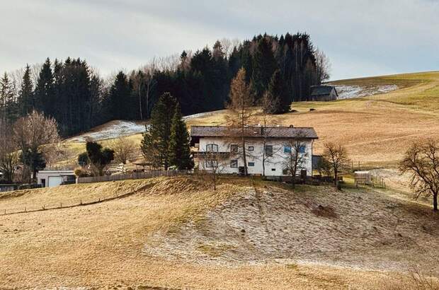 Haus mit Garten kaufen in 4813 Altmünster (Bild 2)