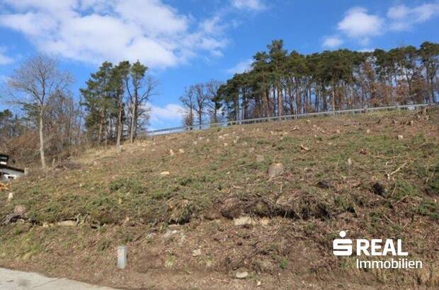 Grundstück kaufen in 4210 Gallneukirchen (Bild 2)