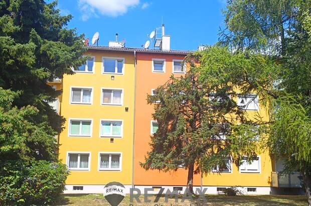 Wohnung kaufen in 2301 Groß (Bild 1)