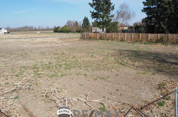 Grundstück kaufen in 3433 Königstetten (Bild 2)