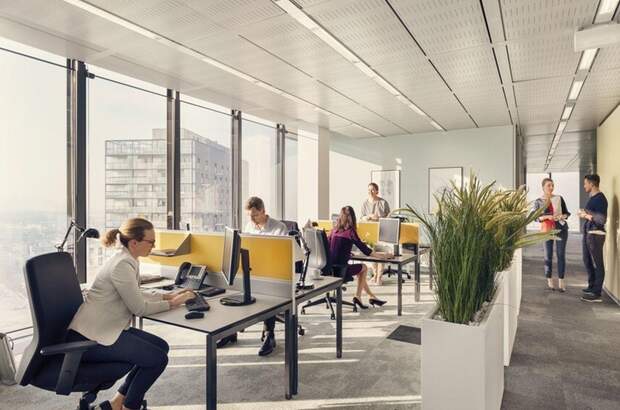Gewerbeobjekt mieten in 1100 Wien (Bild 3)