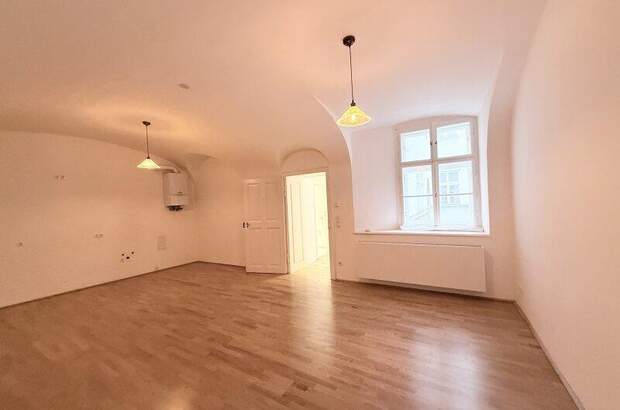 Büro / Praxis mieten in 1010 Wien (Bild 4)