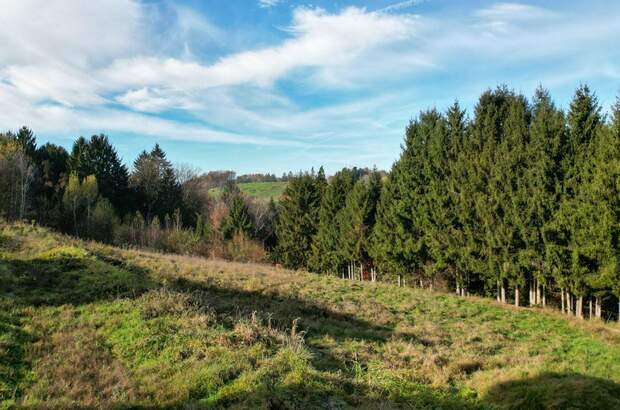 Grundstück kaufen in 8301 Kainbach (Bild 3)
