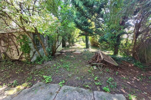 Haus kaufen in 3425 Langenlebarn (Bild 5)