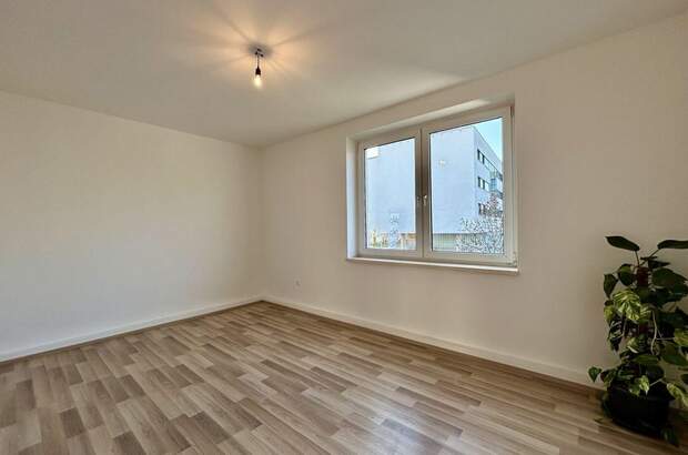 Gewerbeobjekt mieten in 4030 Linz (Bild 1)