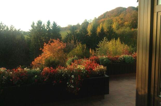 Einfamilienhaus kaufen in 3032 Eichgraben (Bild 2)