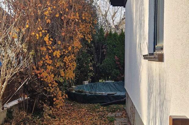 Einfamilienhaus kaufen in 1220 Wien (Bild 5)