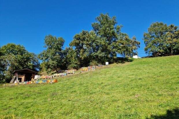 Grundstück kaufen in 9872 Millstatt (Bild 4)