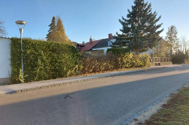 Einfamilienhaus kaufen in 2020 Hollabrunn (Bild 4)