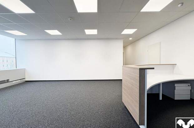 Gewerbeobjekt mieten in 4600 Wels (Bild 3)