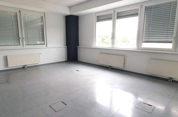 Gewerbeobjekt mieten in 8051 Graz (Bild 1)