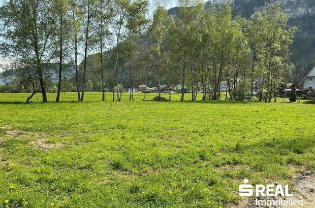 Grundstück kaufen in 6845 Hohenems (Bild 4)