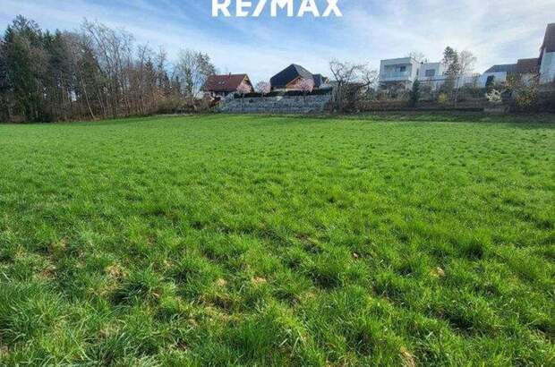 Grundstück kaufen in 4664 Laakirchen (Bild 4)