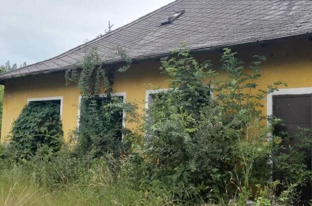 Gewerbeobjekt kaufen in 9241 Jánossomorja (Bild 1)