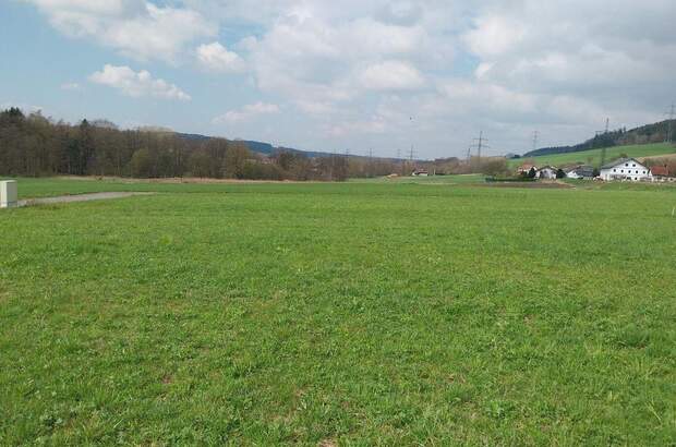 Grundstück kaufen in 4942 Wippenham (Bild 4)