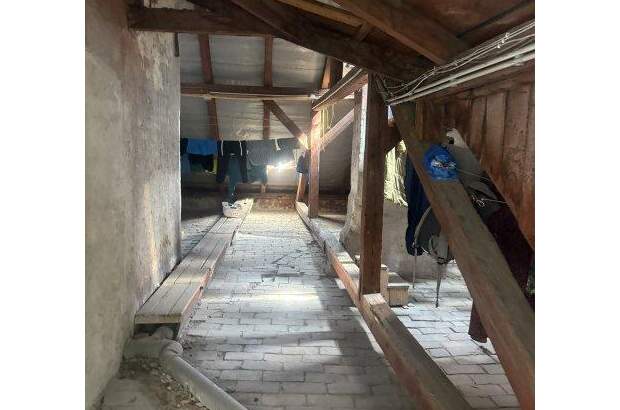 Haus kaufen in 1220 Wien (Bild 5)