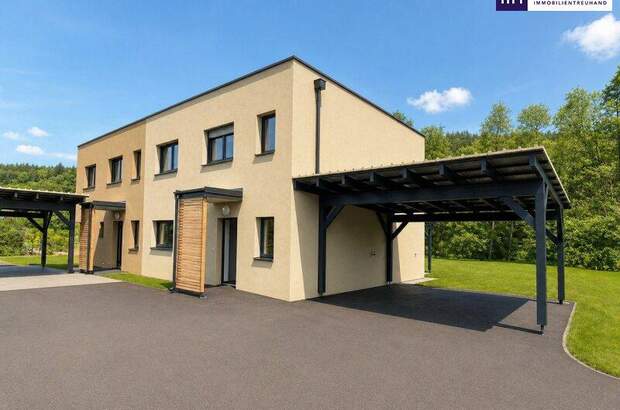 Mehrfamilienhaus kaufen in 8151 Rohrbach (Bild 1)