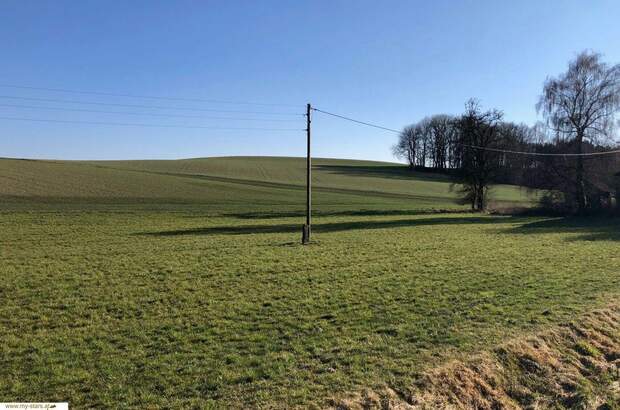 Gewerbeobjekt kaufen in 4941 Mehrnbach (Bild 2)
