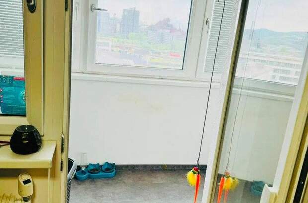 Terrassenwohnung kaufen in 4020 Linz (Bild 2)