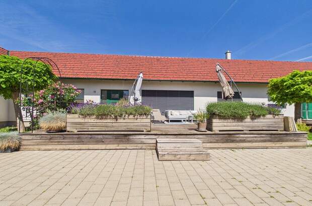 Haus mit Garten kaufen in 7131 Halbturn (Bild 3)