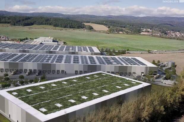 Gewerbeobjekt mieten (Bild 5)