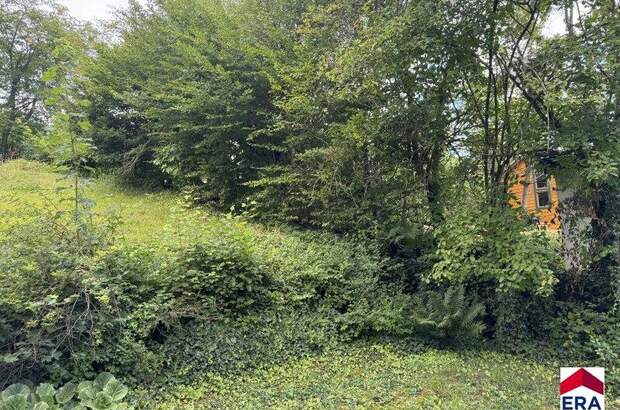 Grundstück kaufen in 3413 Hintersdorf (Bild 5)