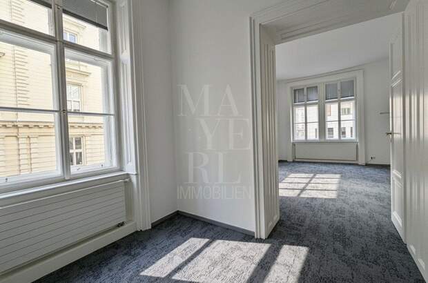 Gewerbeobjekt mieten in 1010 Wien (Bild 3)