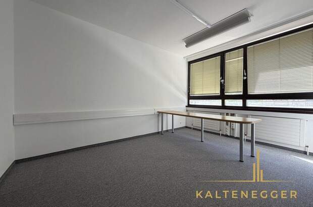 Gewerbeobjekt mieten in 1080 Wien (Bild 2)