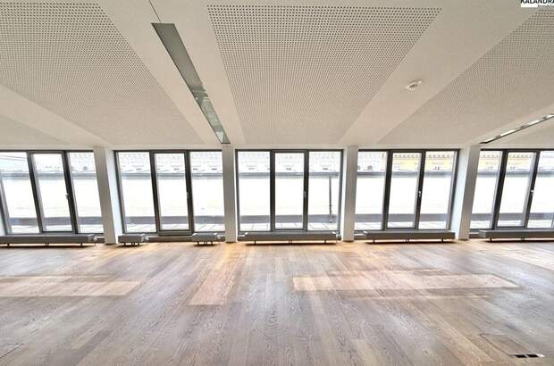 Gewerbeobjekt mieten in 1010 Wien (Bild 3)